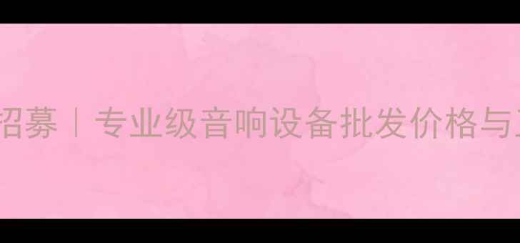 图片 EV音响深圳代理招募｜专业级音响设备批发价格与正品授权服务全2