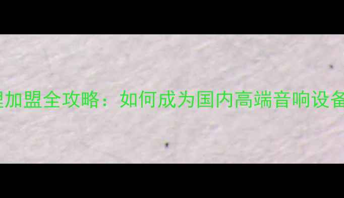 图片 EV音箱代理加盟全攻略：如何成为国内高端音响设备供应商？2