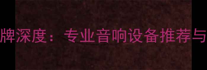 图片 GON功放品牌深度：专业音响设备推荐与选购指南1