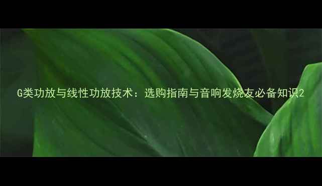 图片 G类功放与线性功放技术：选购指南与音响发烧友必备知识2