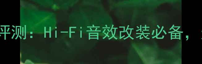 图片 HAP-65汽车功放深度评测：Hi-Fi音效改装必备，无损音效与澎湃动力1