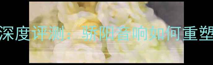图片 HDRS-300低音炮深度评测：骄阳音响如何重塑移动重低音体验