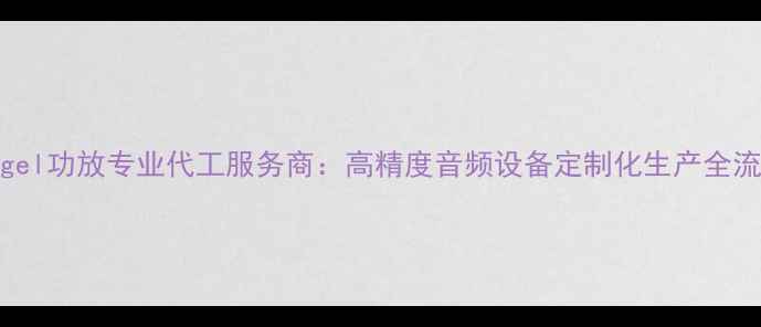 图片 Hegel功放专业代工服务商：高精度音频设备定制化生产全流程