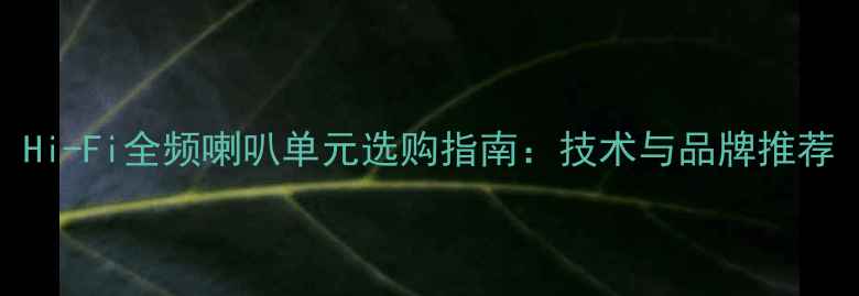 图片 Hi-Fi全频喇叭单元选购指南：技术与品牌推荐