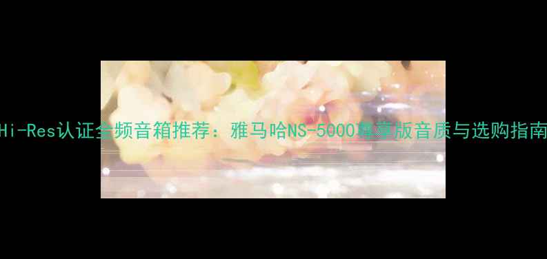 图片 Hi-Res认证全频音箱推荐：雅马哈NS-5000尊享版音质与选购指南