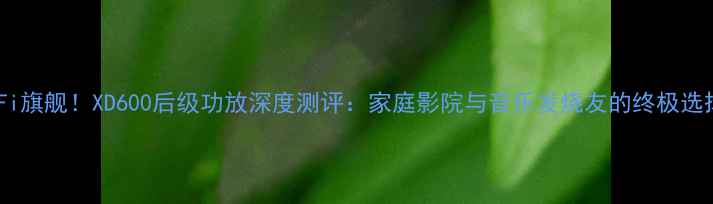 图片 HiFi旗舰！XD600后级功放深度测评：家庭影院与音乐发烧友的终极选择2
