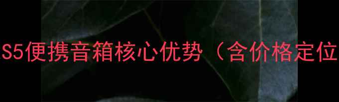 图片 JBLS5便携音箱核心优势（含价格定位）2