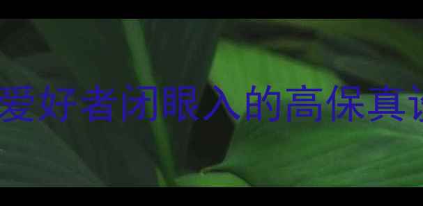 图片 JBL纯音乐功放推荐｜音乐爱好者闭眼入的高保真设备，沉浸式听感体验指南