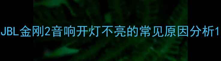 图片 JBL金刚2音响开灯不亮的常见原因分析1