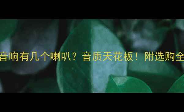 图片 JBL霸道音响有几个喇叭？音质天花板！附选购全攻略🎵1