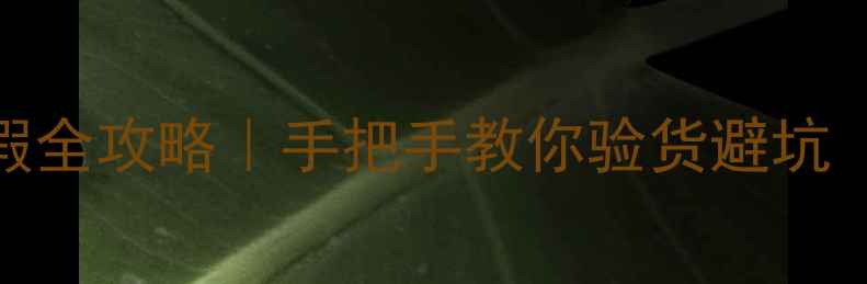 图片 JBL音响辨别真假全攻略｜手把手教你验货避坑（附验货清单）2