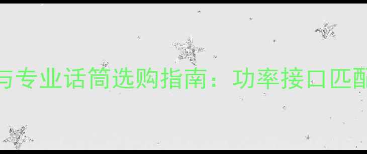 图片 KTV功放与专业话筒选购指南：功率接口匹配技巧全1