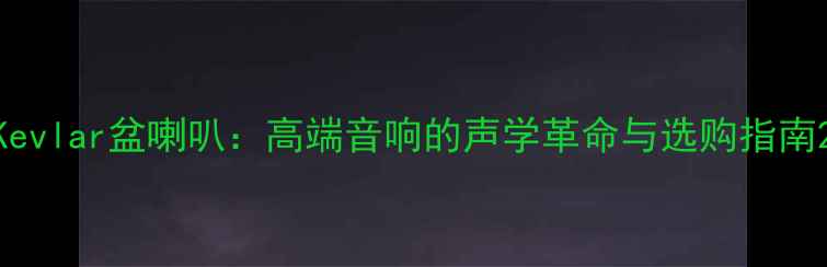 图片 Kevlar盆喇叭：高端音响的声学革命与选购指南2