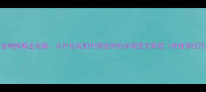 图片 LAX音响拆解全攻略：从外包装到内部组件的详细图文教程（附维修技巧）1