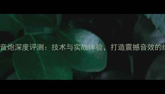 图片 LM1876低音炮深度评测：技术与实战体验，打造震撼音效的终极指南2