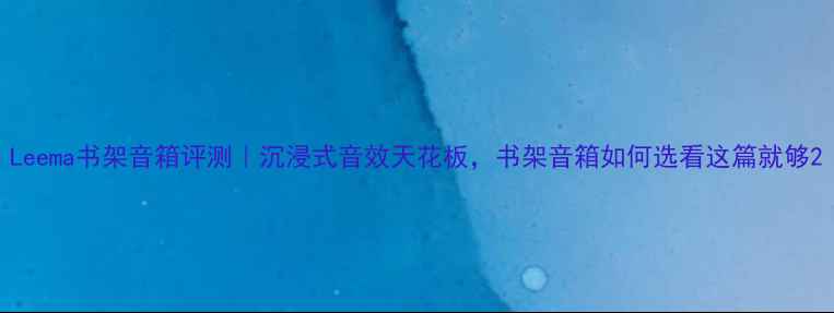 图片 Leema书架音箱评测｜沉浸式音效天花板，书架音箱如何选看这篇就够2