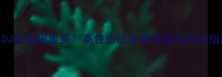 图片 MAIDJ音响哪里买？高性价比音响推荐与购买指南2