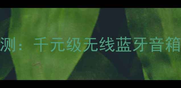 图片 Micron音箱深度评测：千元级无线蓝牙音箱的音质与性价比全