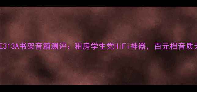 图片 OnkyoE313A书架音箱测评：租房学生党HiFi神器，百元档音质天花板