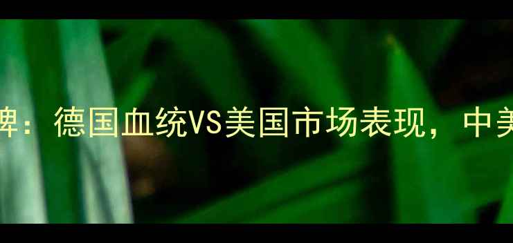 图片 PAL音响品牌：德国血统VS美国市场表现，中美技术差异1