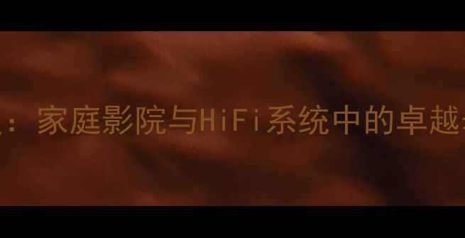 图片 PL2450功放深度：家庭影院与HiFi系统中的卓越表现及使用指南