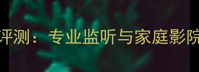 图片 PMC音箱IB2深度评测：专业监听与家庭影院的完美平衡指南