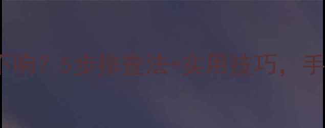 图片 Polo音响突然不响？5步排查法+实用技巧，手把手教你修好2