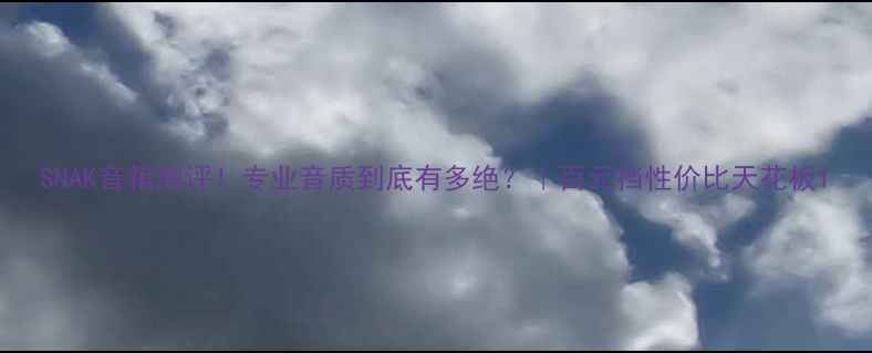 图片 SNAK音箱测评！专业音质到底有多绝？｜百元档性价比天花板1