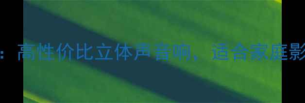 图片 SR6010音箱深度评测：高性价比立体声音响，适合家庭影院与Hi-Fi音乐场景1