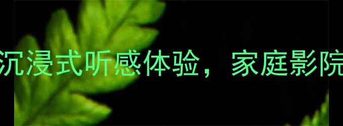 图片 Sps-800音响测评｜沉浸式听感体验，家庭影院HiFi音效天花板！2