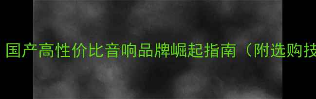 图片 TB音响品牌深度：国产高性价比音响品牌崛起指南（附选购技巧与产品对比）1