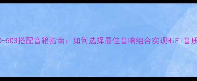 图片 TEACUD-503搭配音箱指南：如何选择最佳音响组合实现HiFi音质巅峰1