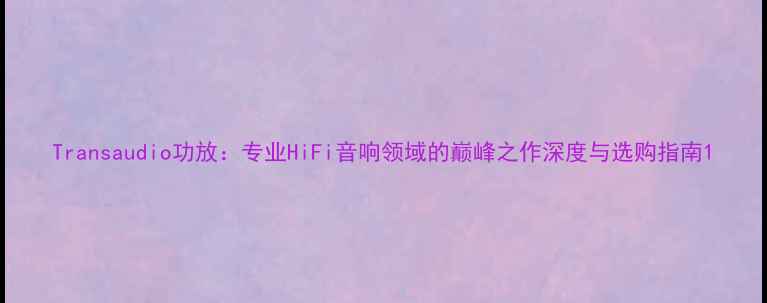 图片 Transaudio功放：专业HiFi音响领域的巅峰之作深度与选购指南1