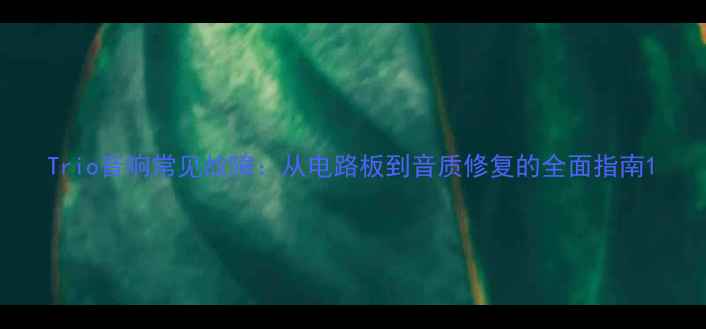图片 Trio音响常见故障：从电路板到音质修复的全面指南1