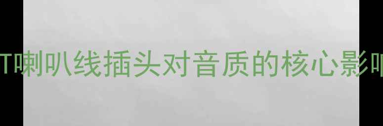 图片 WBT喇叭线插头对音质的核心影响1