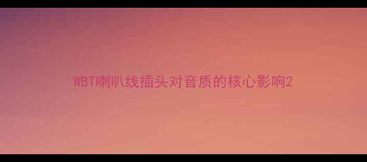 图片 WBT喇叭线插头对音质的核心影响2