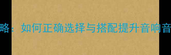 图片 Y型插头与香蕉插头全攻略：如何正确选择与搭配提升音响音质（附选购避坑指南）1