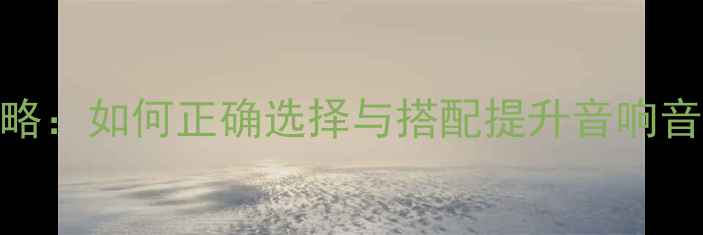 图片 Y型插头与香蕉插头全攻略：如何正确选择与搭配提升音响音质（附选购避坑指南）2