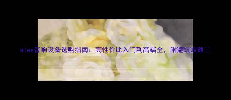 图片 ales音响设备选购指南：高性价比入门到高端全，附避坑攻略🎵