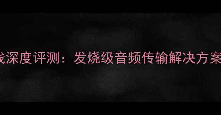 图片 ansuz喇叭线深度评测：发烧级音频传输解决方案的选购指南