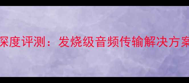 图片 ansuz喇叭线深度评测：发烧级音频传输解决方案的选购指南2