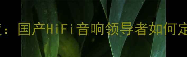 图片 moon音响品牌深度：国产HiFi音响领导者如何定义高端音频体验1