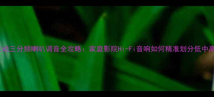 图片 ✨主动三分频喇叭调音全攻略：家庭影院Hi-Fi音响如何精准划分低中高频1