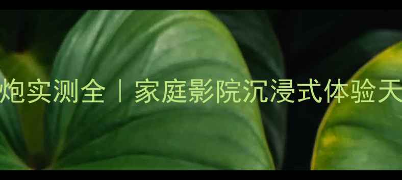 图片 ✨捷力F110低音炮实测全｜家庭影院沉浸式体验天花板怎么选？🎬