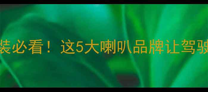 图片 ✨美国汽车音响改装必看！这5大喇叭品牌让驾驶秒变高级玩家🔥✨
