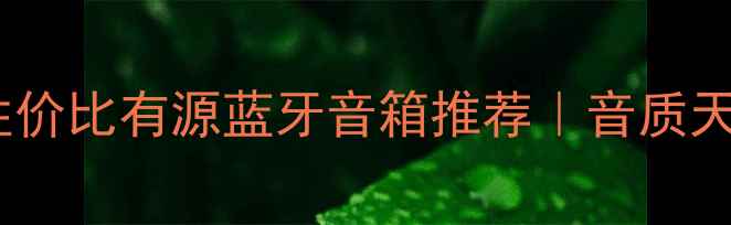 图片 ✨闭眼入的高性价比有源蓝牙音箱推荐｜音质天花板+黑科技全