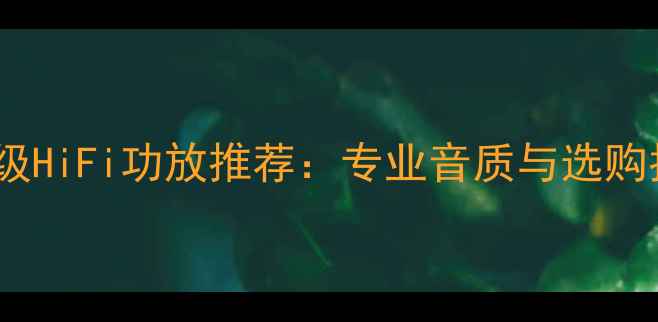 图片 万元级HiFi功放推荐：专业音质与选购指南2