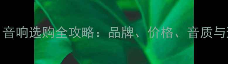 图片 上海HiFi音响选购全攻略：品牌、价格、音质与避坑指南