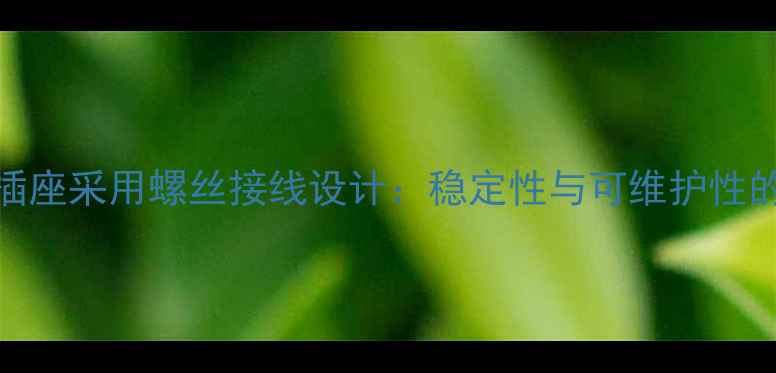 图片 专业功放插座采用螺丝接线设计：稳定性与可维护性的终极保障