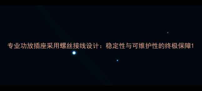 图片 专业功放插座采用螺丝接线设计：稳定性与可维护性的终极保障1
